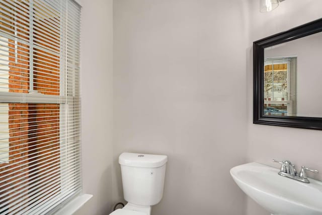 bathroom featuring sink and toilet