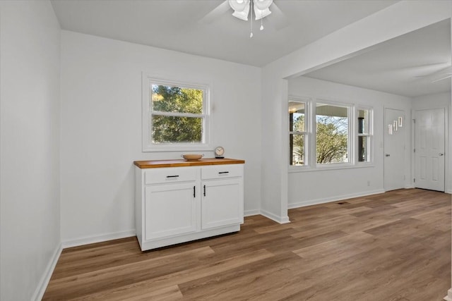 interior space with light hardwood / wood-style floors, ceiling fan, and a healthy amount of sunlight