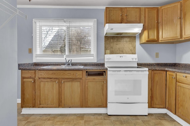 kitchen featuring sink, white range with electric stovetop, crown molding, and tasteful backsplash