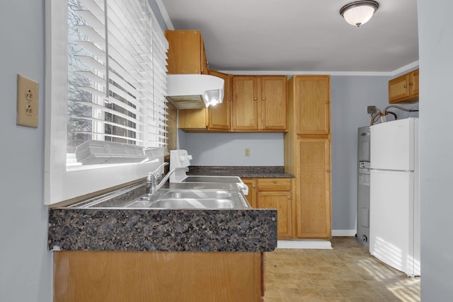 kitchen with sink, refrigerator, ornamental molding, and premium range hood