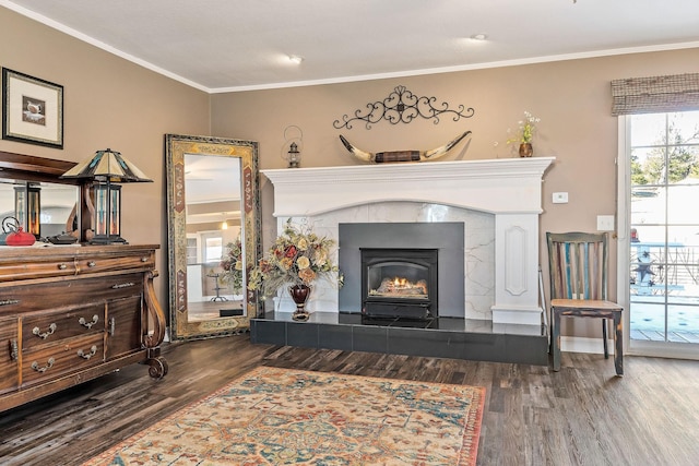 living area featuring crown molding, dark hardwood / wood-style floors, and a fireplace