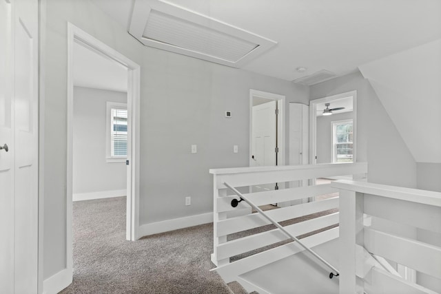 hallway with plenty of natural light, carpet flooring, and lofted ceiling