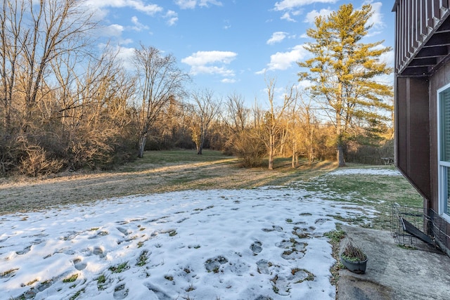 view of yard covered in snow