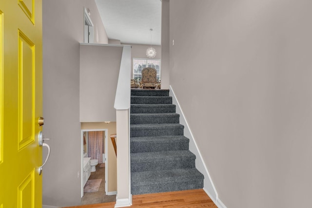 stairway with hardwood / wood-style floors