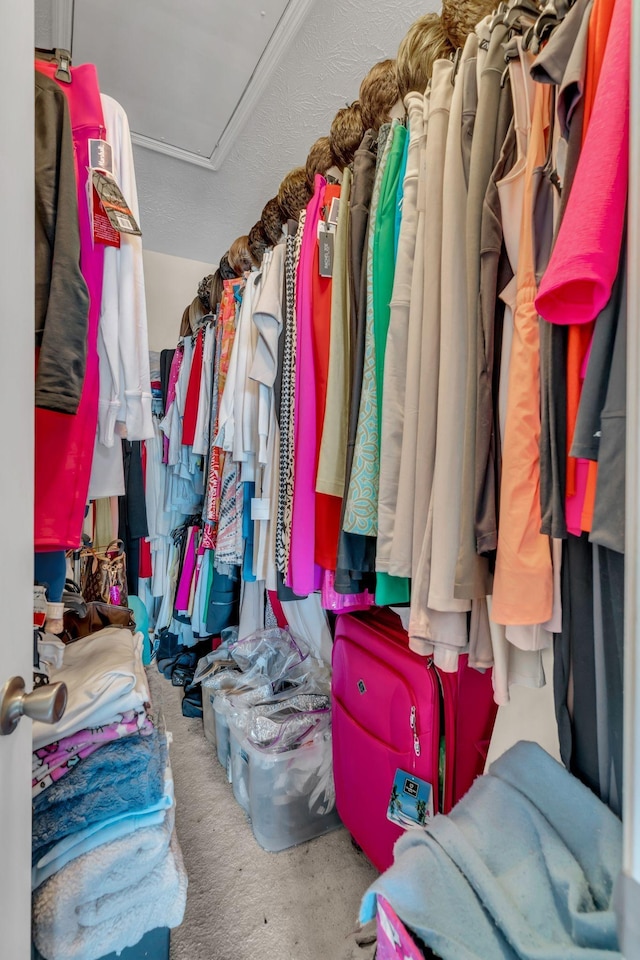 walk in closet featuring carpet flooring