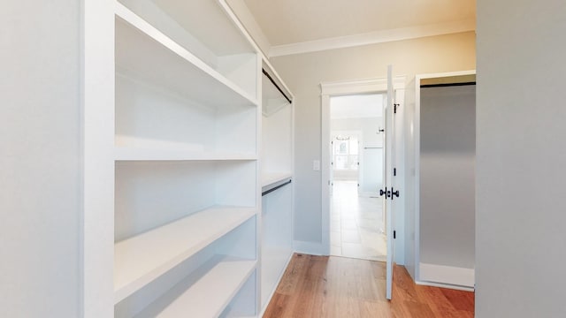 walk in closet featuring light hardwood / wood-style flooring