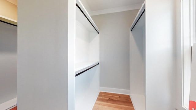 walk in closet with hardwood / wood-style floors and a barn door