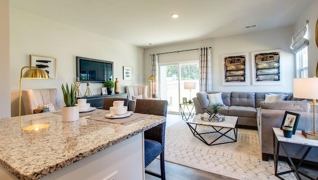 living room with dark hardwood / wood-style flooring