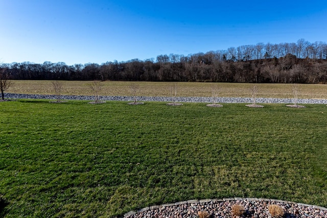 view of yard featuring a rural view