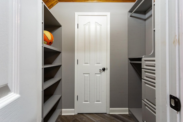 walk in closet featuring dark hardwood / wood-style floors