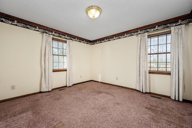 unfurnished room featuring carpet floors, a wealth of natural light, and a textured ceiling