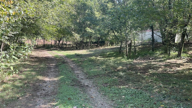 0 Gravel Hill Rd, Bethpage TN, 37022 land for sale