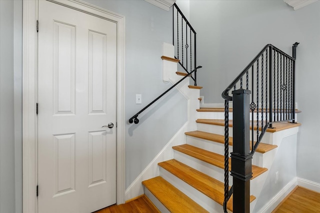 staircase with hardwood / wood-style flooring