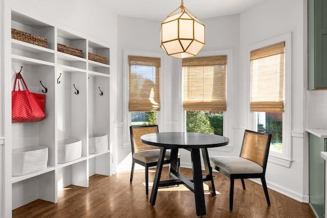 mudroom featuring wood-type flooring and a healthy amount of sunlight