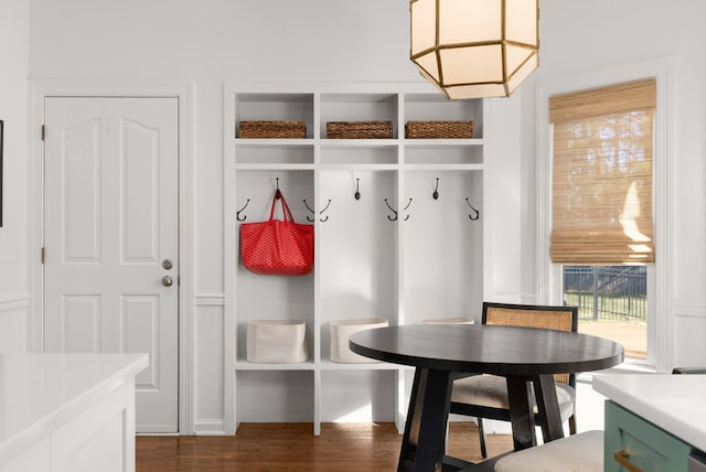 mudroom featuring dark hardwood / wood-style flooring