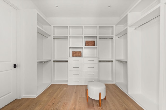 spacious closet featuring light wood-type flooring