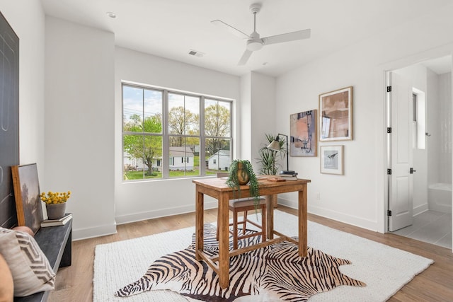 office space with ceiling fan, light wood-style floors, visible vents, and baseboards