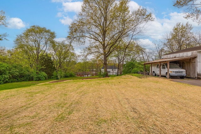 view of yard featuring a carport and driveway