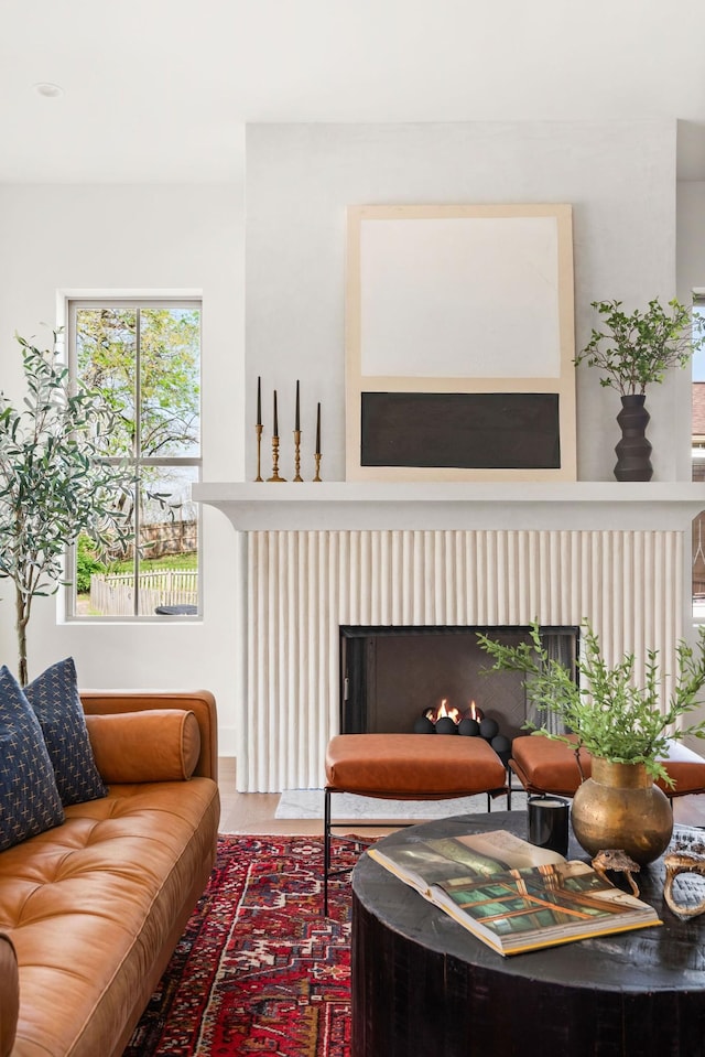 living area featuring a lit fireplace and wood finished floors