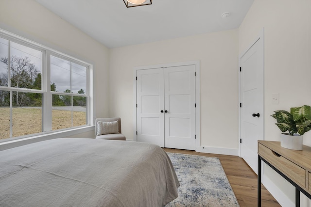 bedroom with hardwood / wood-style floors and a closet