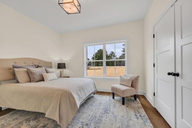 bedroom featuring dark wood-type flooring and a closet