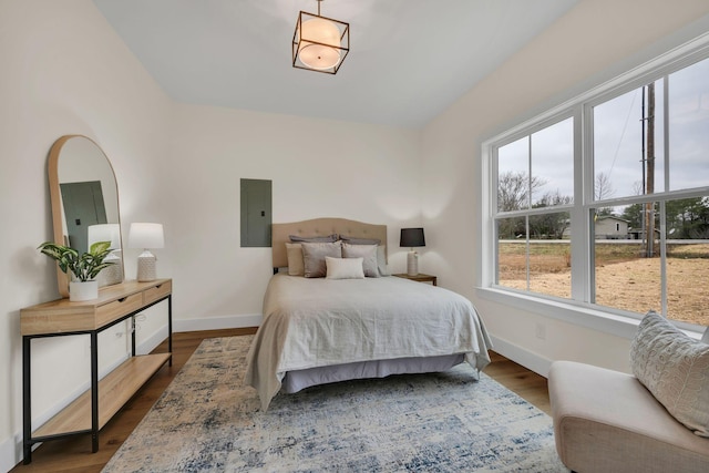 bedroom with multiple windows, electric panel, and dark hardwood / wood-style floors