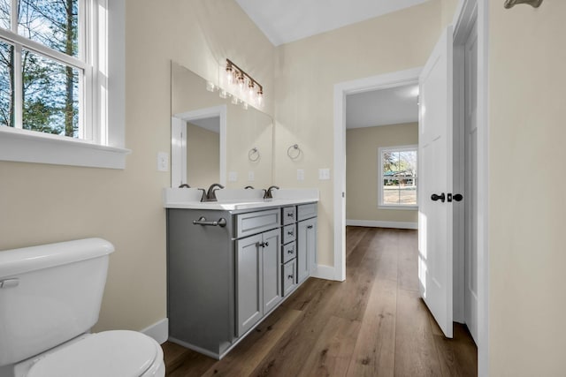 bathroom featuring vanity, toilet, and wood-type flooring