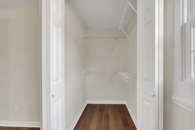 spacious closet with dark hardwood / wood-style floors