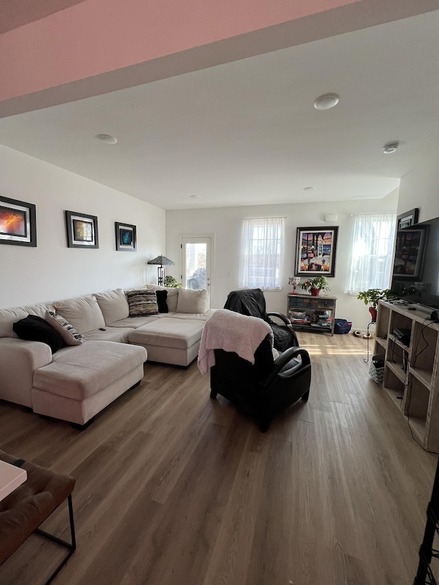 living room featuring hardwood / wood-style floors