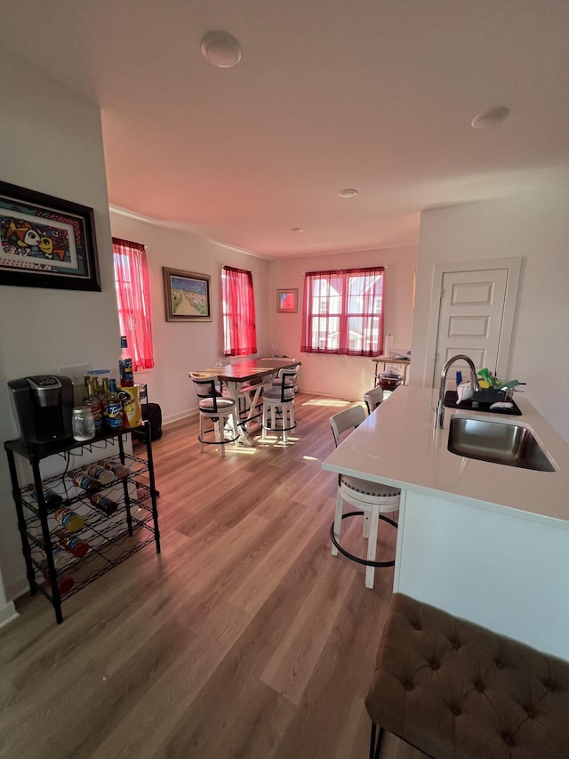 dining area with hardwood / wood-style flooring and sink