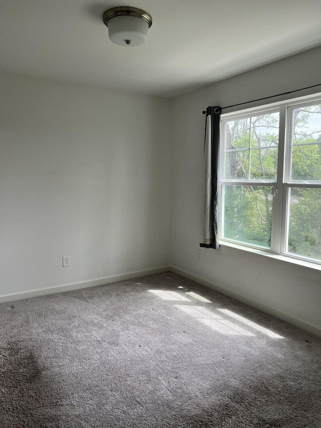 302 Williams Ave Unit 110, Madison, TN 37115 - carpeted empty room featuring baseboards