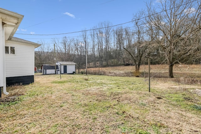 view of yard featuring a storage unit