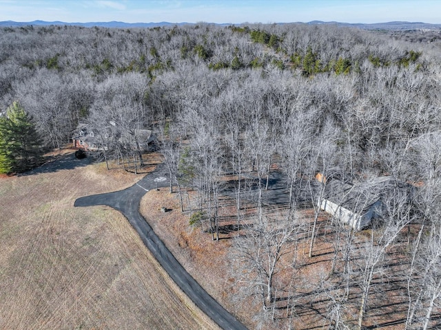 birds eye view of property featuring a mountain view