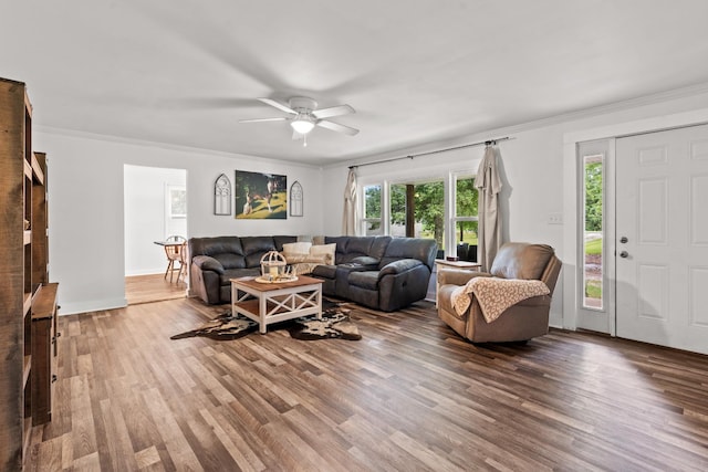 living room with ceiling fan, ornamental molding, and wood-type flooring