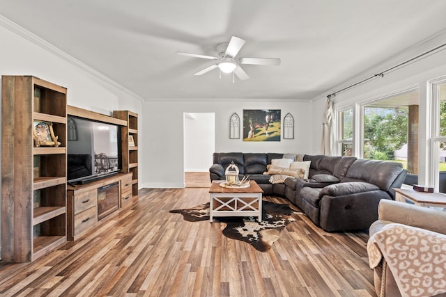 living room featuring ceiling fan, wood-type flooring, and crown molding