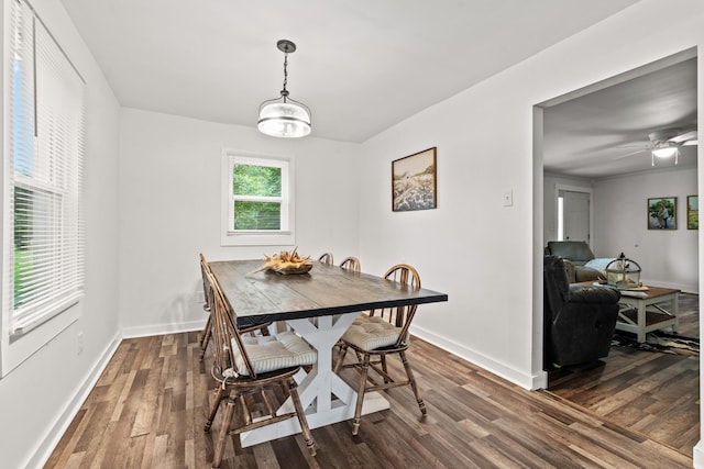 dining space featuring dark hardwood / wood-style floors and ceiling fan