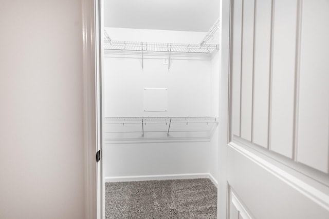 spacious closet featuring carpet