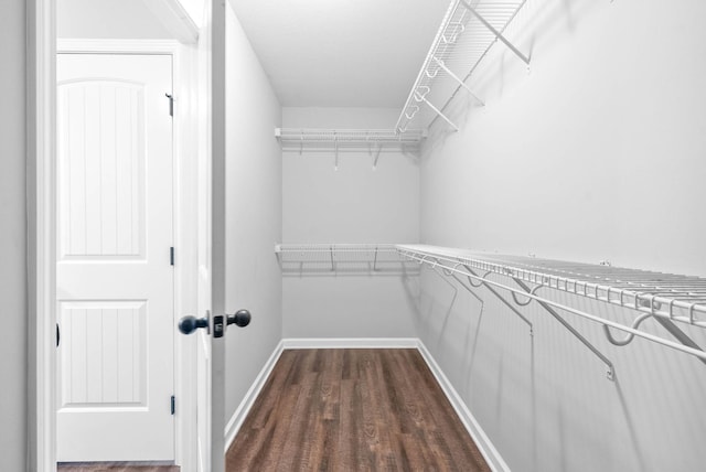 walk in closet with dark hardwood / wood-style flooring