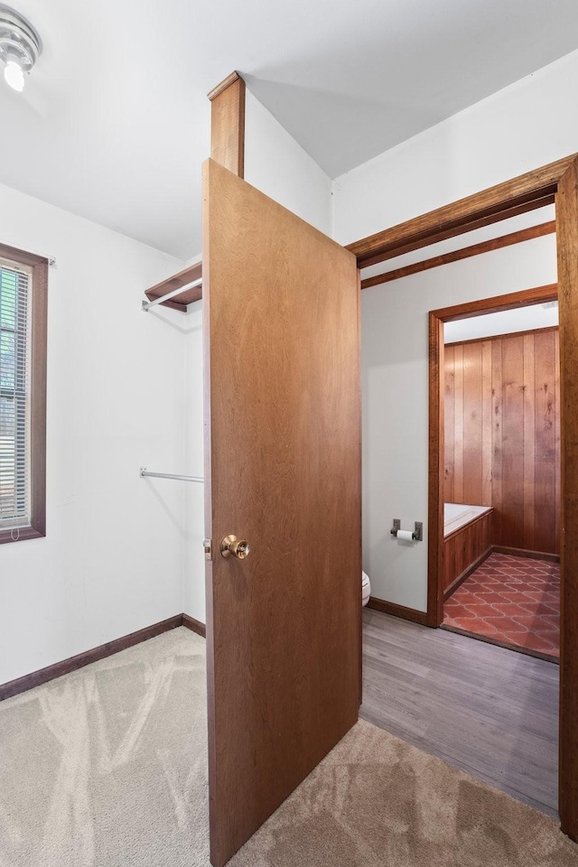 spacious closet featuring carpet floors