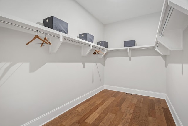 spacious closet with wood-type flooring