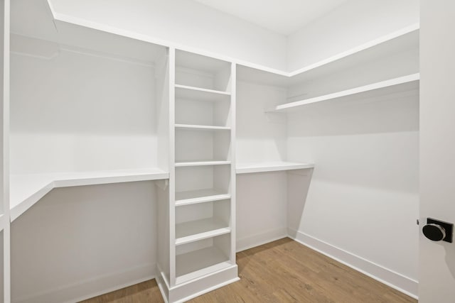 spacious closet with hardwood / wood-style flooring