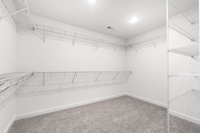 spacious closet featuring carpet floors