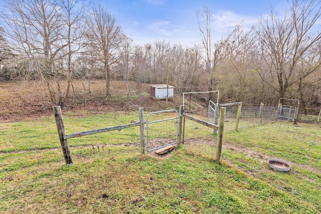 view of yard with a rural view and a shed