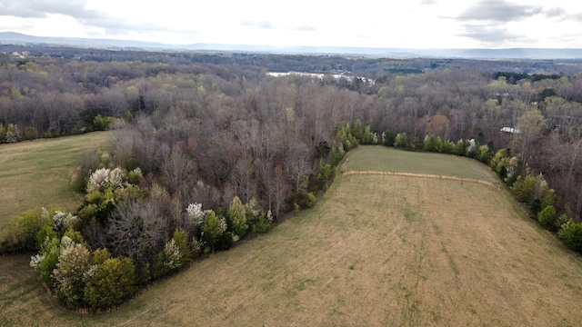 drone / aerial view featuring a rural view