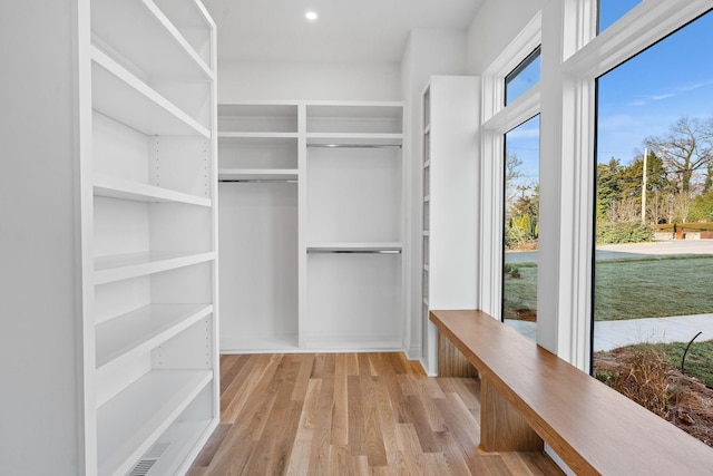 spacious closet with light wood-type flooring