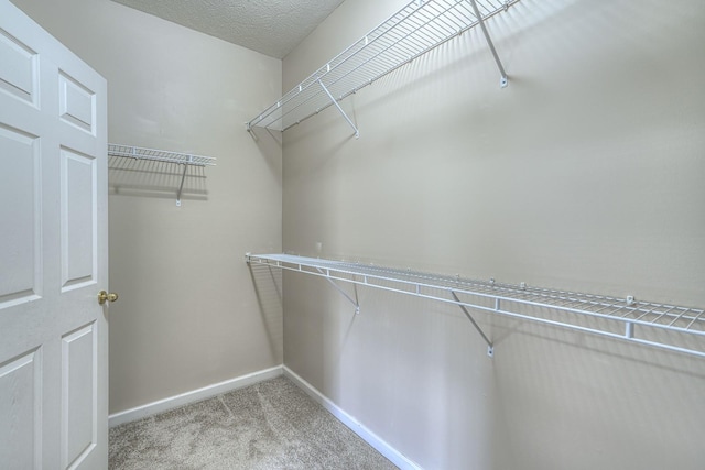 spacious closet featuring light colored carpet