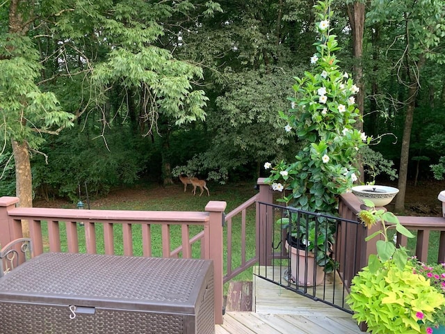 view of wooden terrace