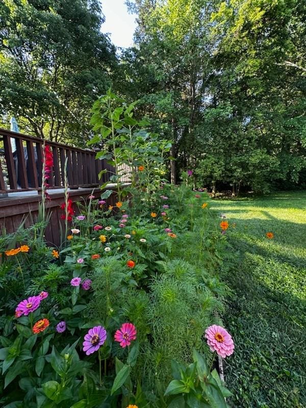 view of yard featuring a wooden deck