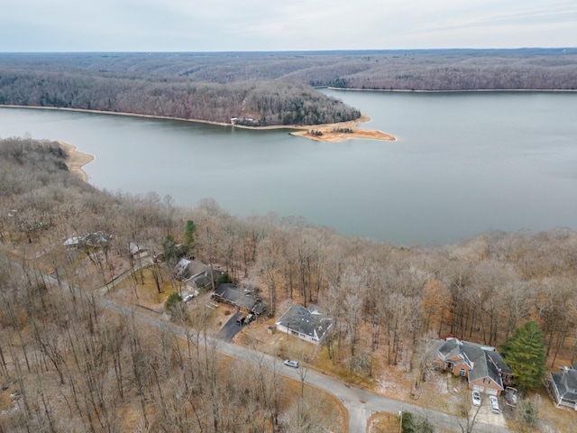 bird's eye view with a wooded view and a water view