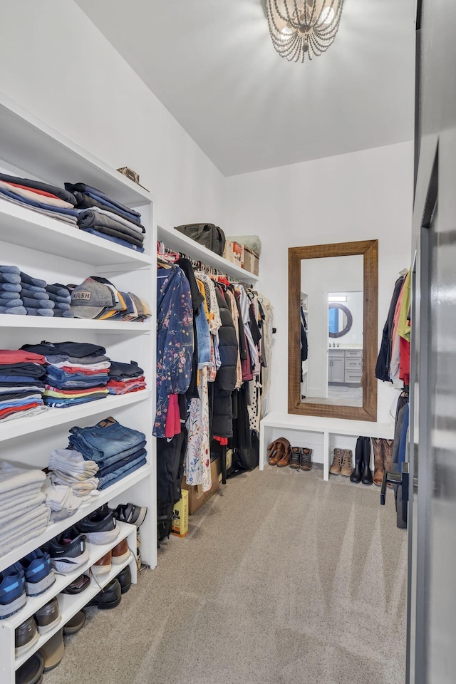 spacious closet featuring carpet flooring